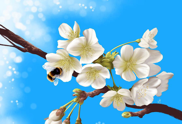 5182169_Happy_bee_yapfiles_ru (700x478, 261Kb)