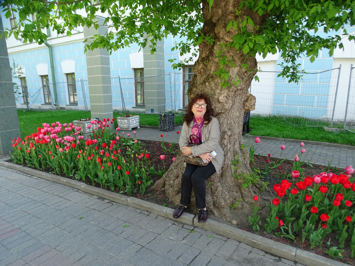 DSC00004 (700x525, 543Kb)