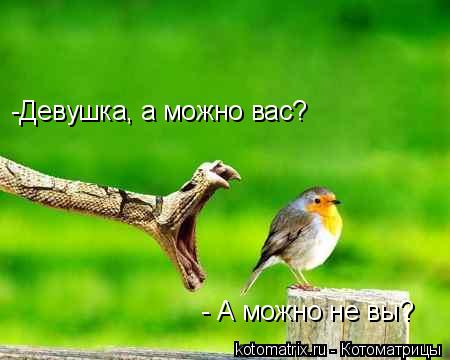 4743317_BP (450x360, 21Kb)