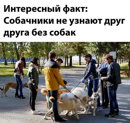4743317_i_jpgrp (434x411, 72Kb)