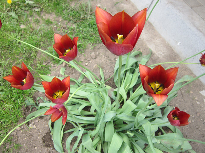 IMG_8404 (700x525, 533Kb)