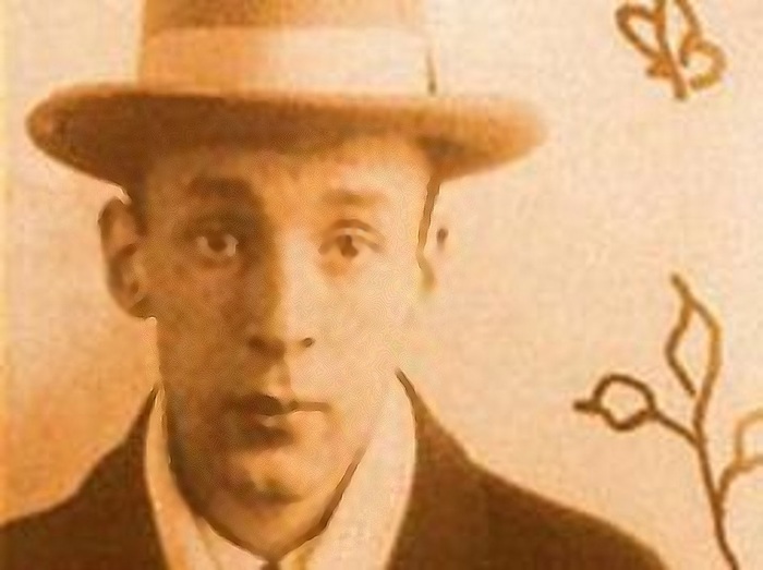 6587769_Vladimir_Nabokov (700x523, 75Kb)