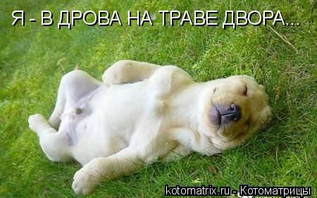 4743317_ya (450x281, 31Kb)