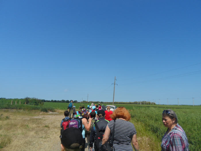 SAM_4233 (700x525, 302Kb)