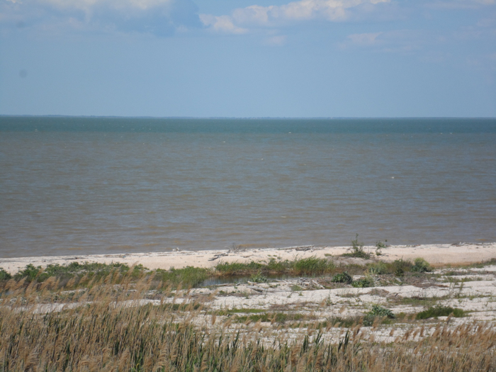 SAM_4292 (700x525, 372Kb)