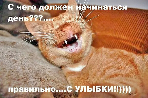 4743317_i_jpglog (600x400, 96Kb)