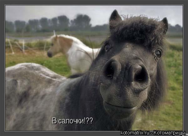 4743317_w8 (600x433, 31Kb)
