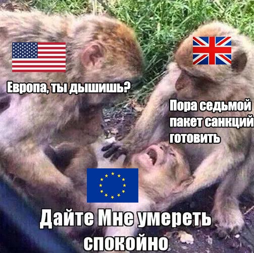 4743317_3590619_original (503x502, 65Kb)
