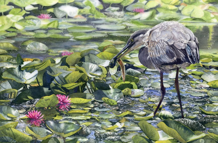 Tadpole-Takeout-watercolor-Lorraine-Watry (700x460, 439Kb)