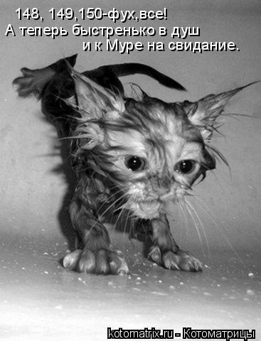 4743317_C4 (367x480, 32Kb)