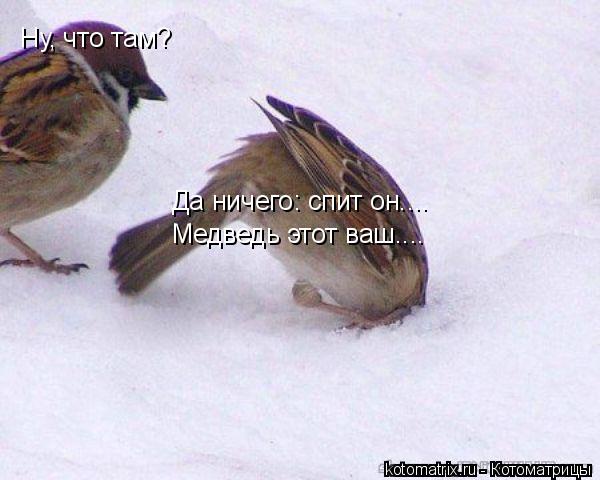 4743317_Y (600x480, 38Kb)