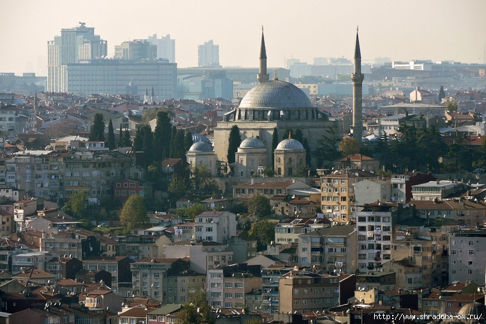 Стамбул, Турция, Istanbul, Shraddhatravel 2021 (166) (700x466, 319Kb)