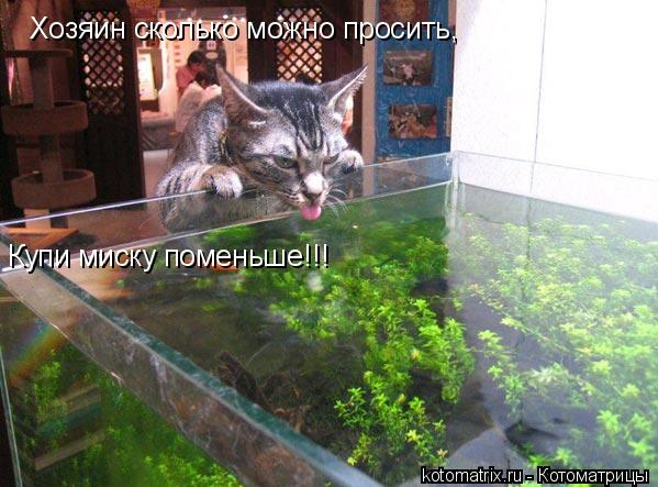 4743317_uy (599x443, 55Kb)