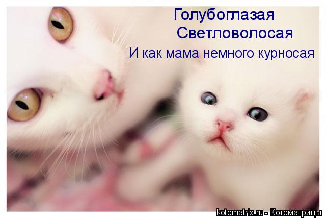 4743317_d (640x427, 31Kb)