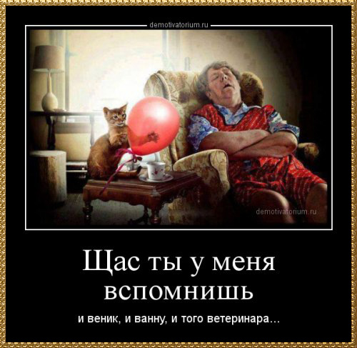 ry-1-(4) (500x487, 168Kb)