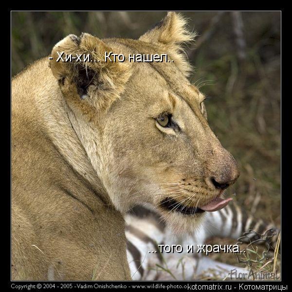 4743317_I_jpgiv (600x600, 76Kb)