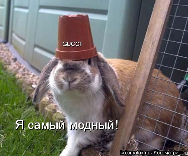 4743317_c (600x498, 41Kb)