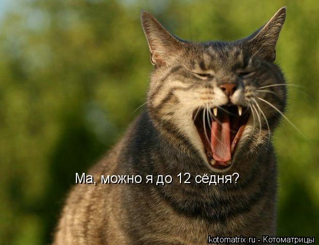 4743317_EU (622x478, 42Kb)
