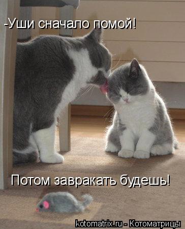 4743317_B (364x450, 29Kb)