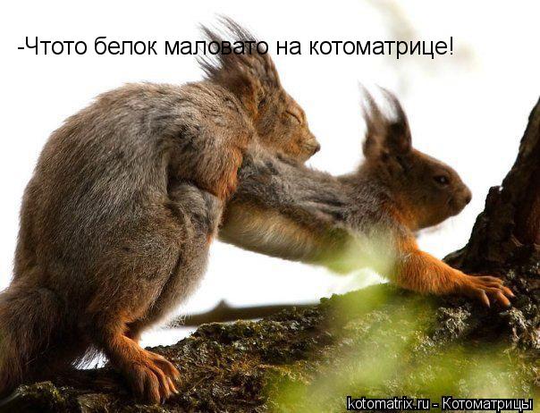 4743317_V (604x462, 56Kb)