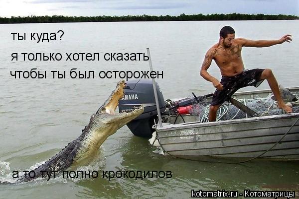 4743317_Y_1 (600x401, 51Kb)