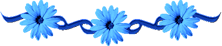 5182169_0_a1f7b_54b348ab_L (452x94, 8Kb)