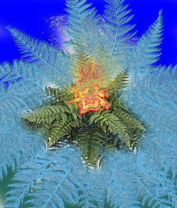 7  22 (594x700, 630Kb)