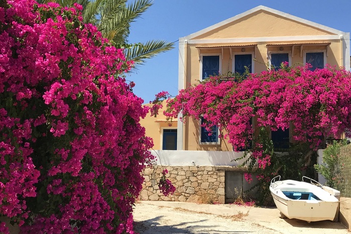 Greece_Houses_Bougainvillea_ (800x566, 182Kb)