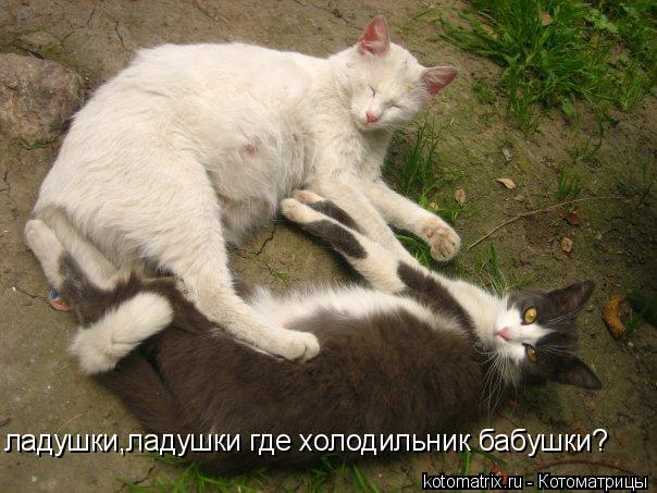4743317_v (604x453, 57Kb)