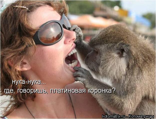 4743317_vq (625x480, 47Kb)