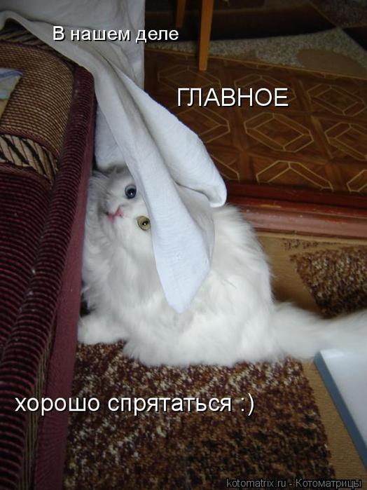 4743317_pK (524x700, 54Kb)