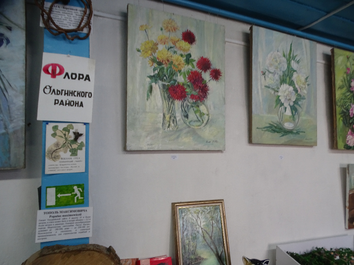 DSC00550 (700x525, 331Kb)