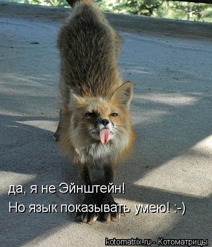 4743317__E (429x500, 45Kb)
