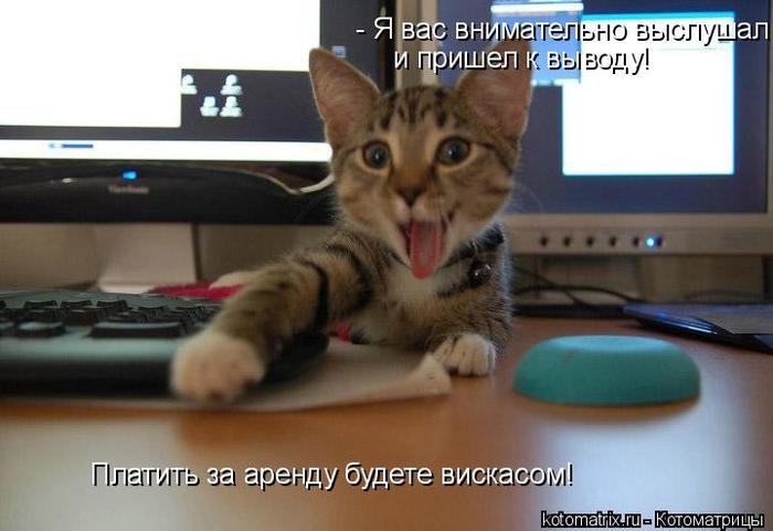 4743317_jm (700x481, 40Kb)