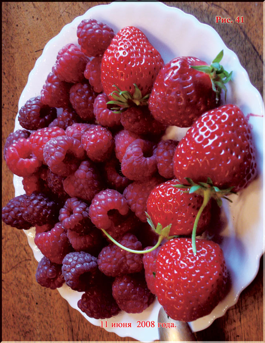 Puc.41 (541x700, 547Kb)