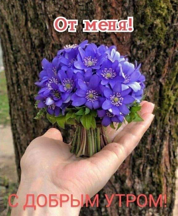 IMG-20220712-WA0008 (577x700, 118Kb)
