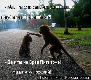4743317_lK (385x336, 38Kb)