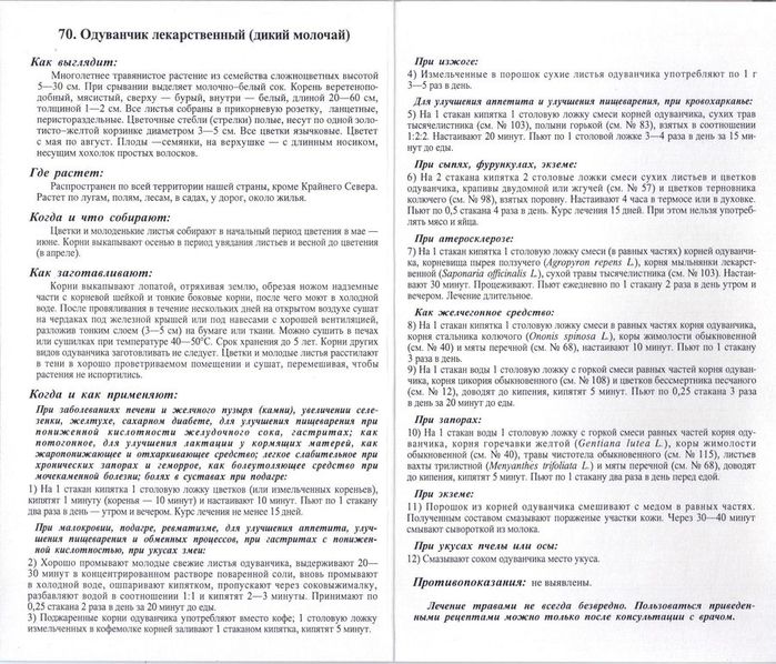 Одуванчик л.2-2 (350x350, 116Kb)