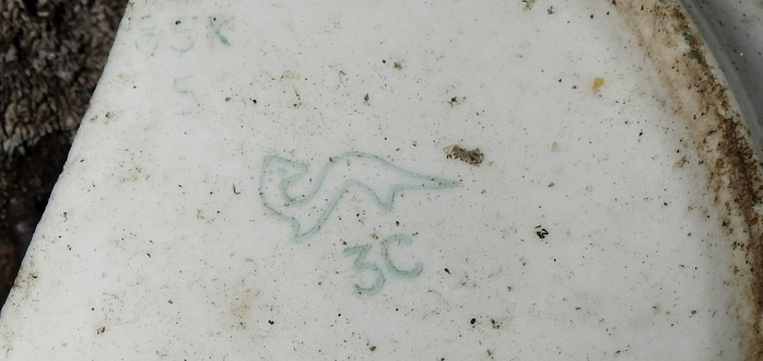 DSCN2890 (700x330, 194Kb)