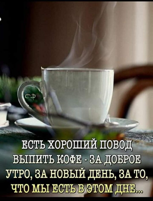 IMG_20220609_103508 (531x700, 75Kb)
