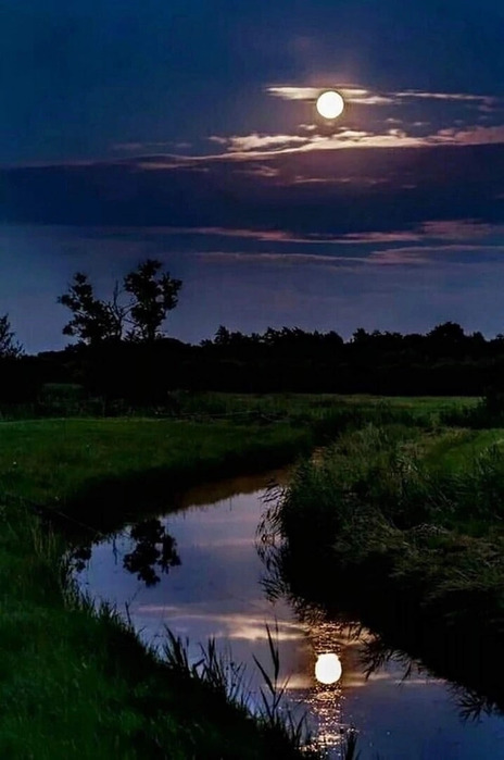 IMG_20220716_165248 (464x700, 74Kb)