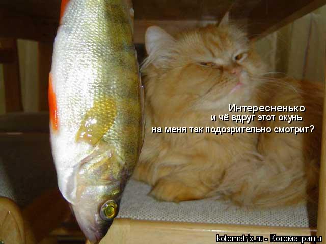 4743317_9a (640x480, 39Kb)