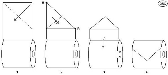 Оригами из туалетной бумаги (4) (580x260, 35Kb)