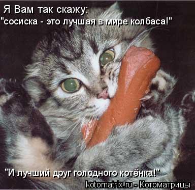 4743317_Zk (384x373, 32Kb)