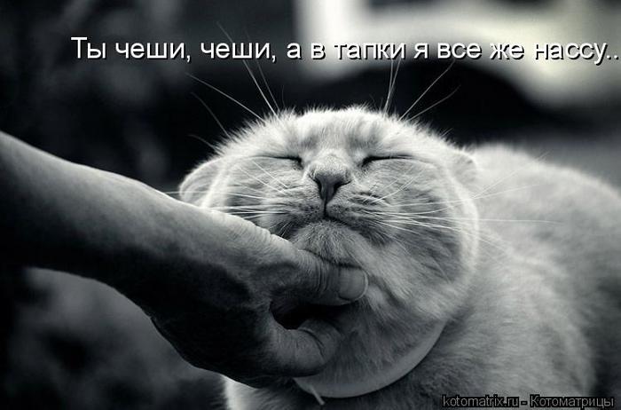 4743317_zJ (700x462, 39Kb)