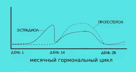 цикл (451x240, 46Kb)