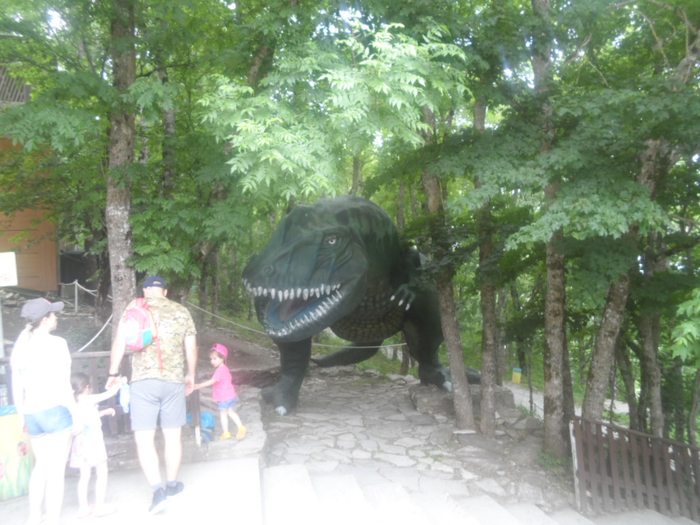 SAM_4394 (700x525, 410Kb)