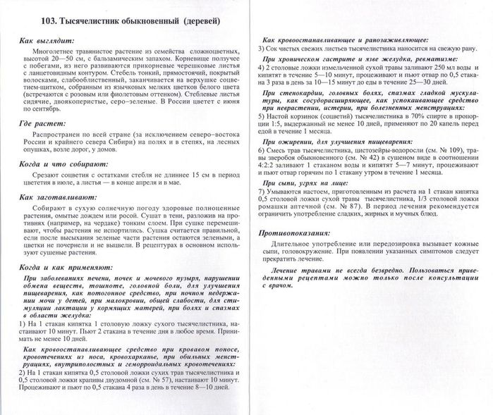 ТЫСЯЧЕЛИСТНИК л.2-2 (350x300, 101Kb)