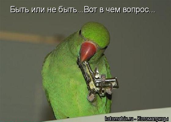 4743317_Ok (559x399, 22Kb)