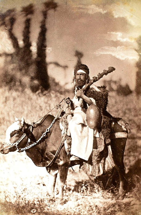 иран Дервиш на корове 1897 год (457x700, 429Kb)